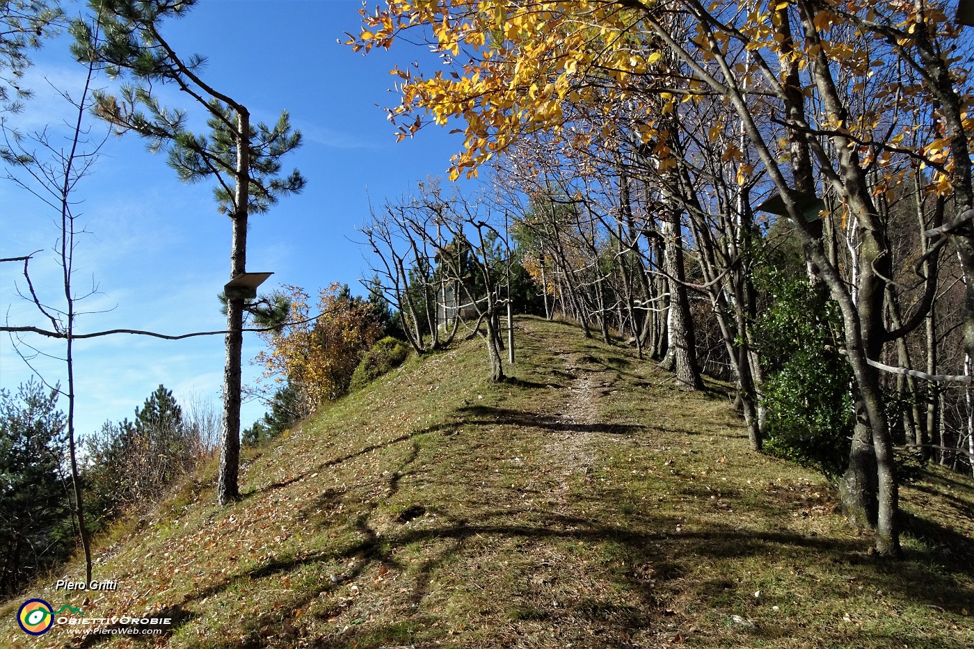 37 Al Rocol di Ciarec rientro sul sent. 597.JPG